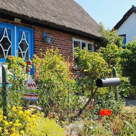 Moderne Ferienwohnung Mit Gartennutzung - Haus Inselwind Fewo Meerbucht Groß Zicker Bagian luar foto
